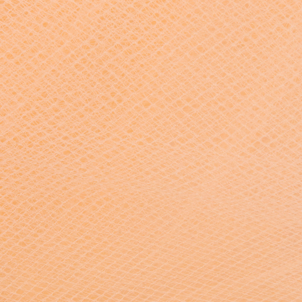 Nylon Tulle 108