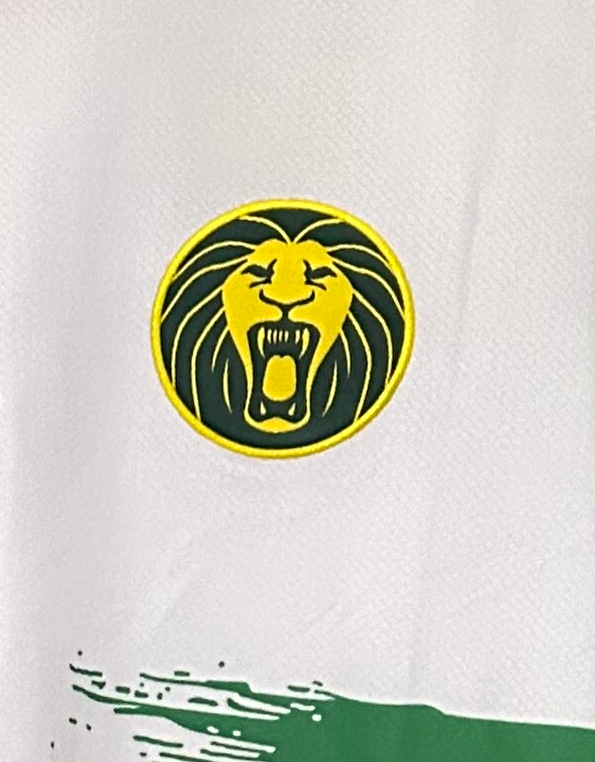 2025/2026 Cameroon Third Away Football Shirt 1:1 Thai Quality