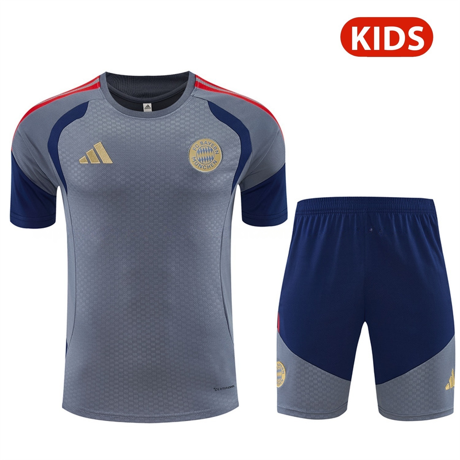 Bayern Munich 26-27 Kids Short-Sleeve Training Set - Grey Top & Deep Blue Shorts - UnitedFutballJersey