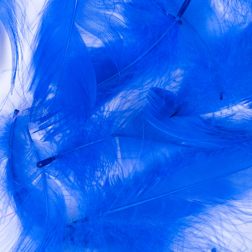 Blue 5 Gram Bag of Feathers - Joann Fabrics