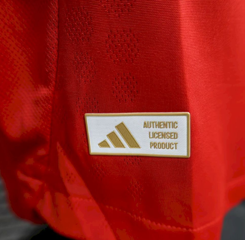 2025/2026 Player Version Benfica Home Football Jersey 1:1 Thai Quality