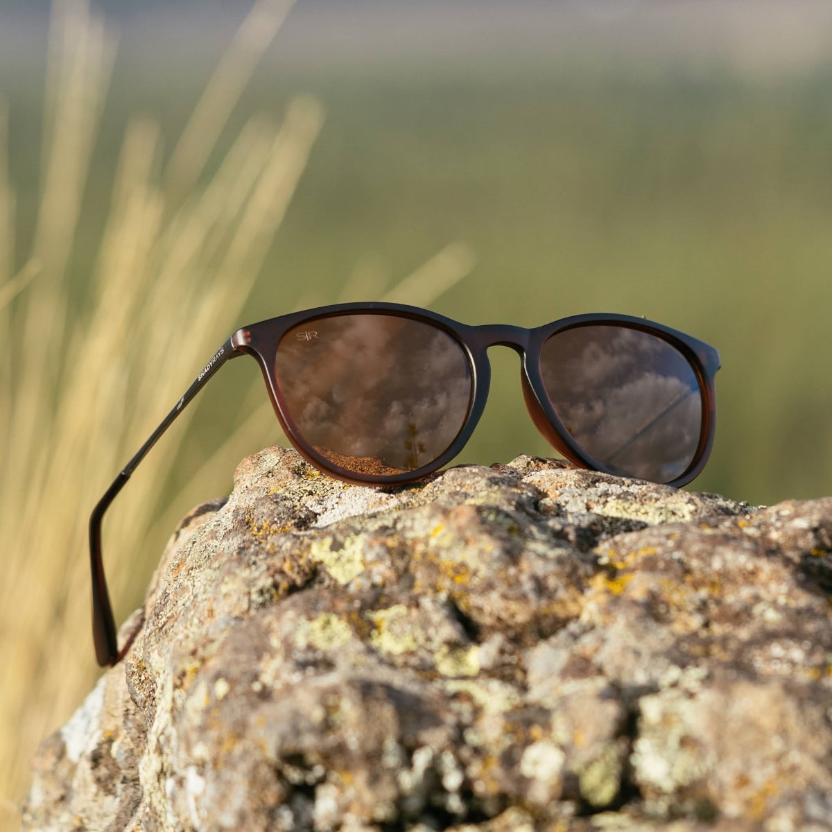 Allure – Mahogany Polarized
