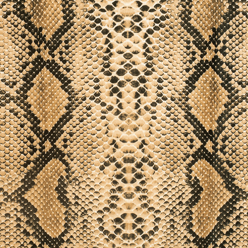 Anaconda Printed Micro-Polyester and Cotton - Joann Fabrics