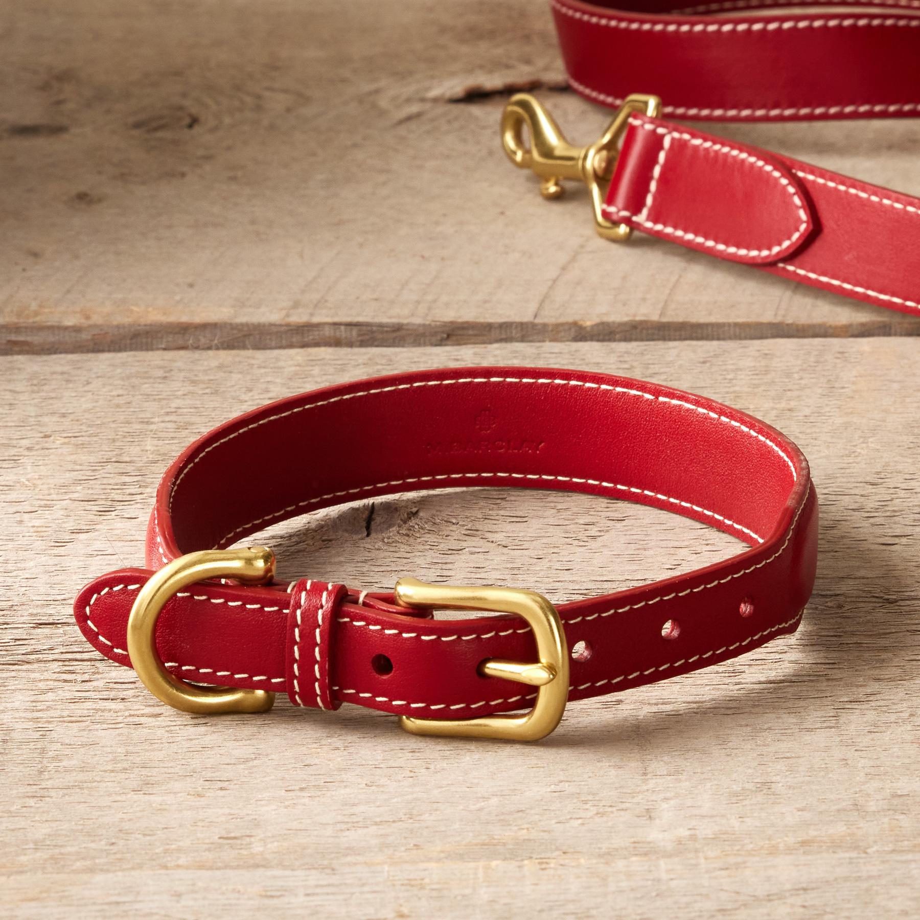 Sporty Dog Collar - Blair Catalog