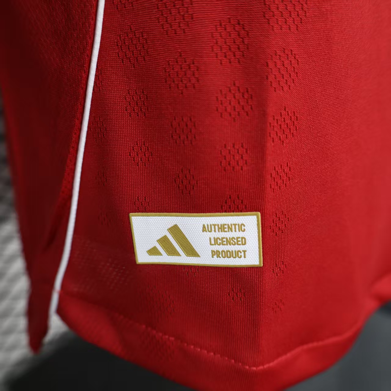 2025/2026 Long Sleeve Liverpool Home Player Version Football Shirt 1:1 Thai Quality