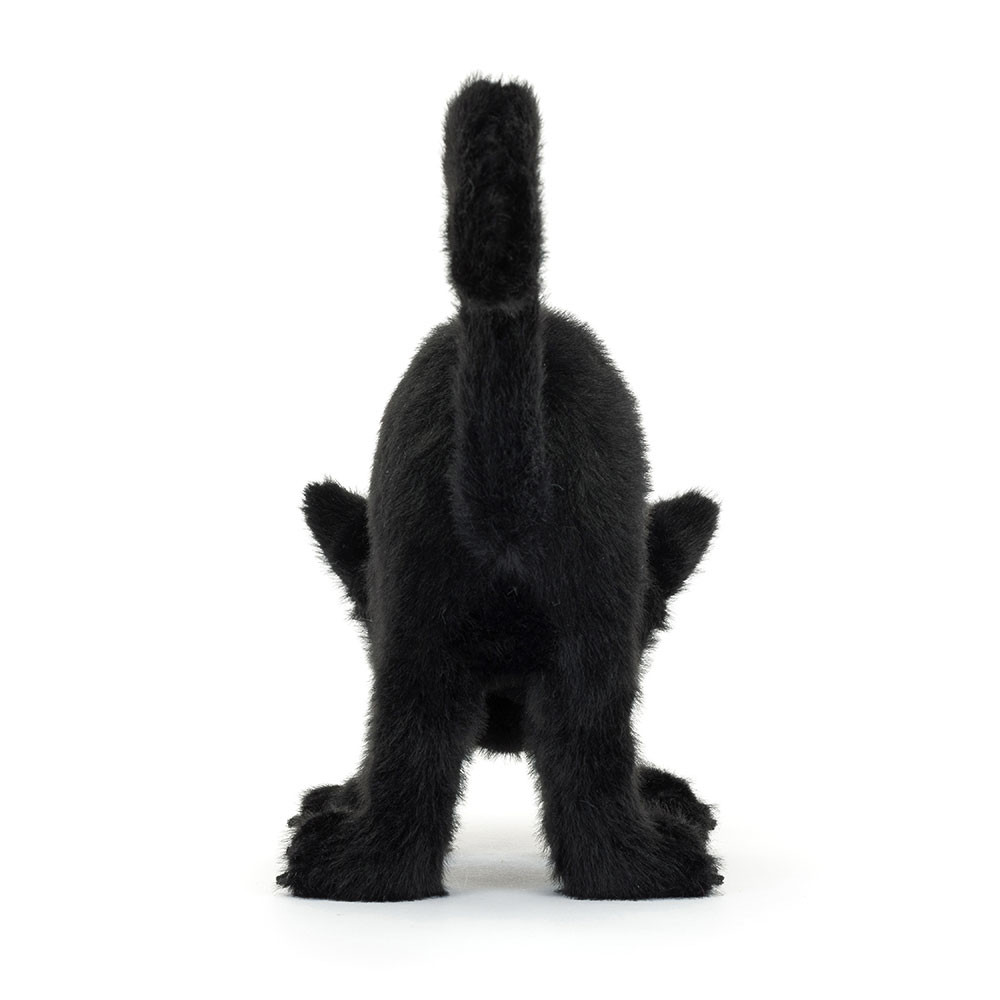 Spookipaws Cat
