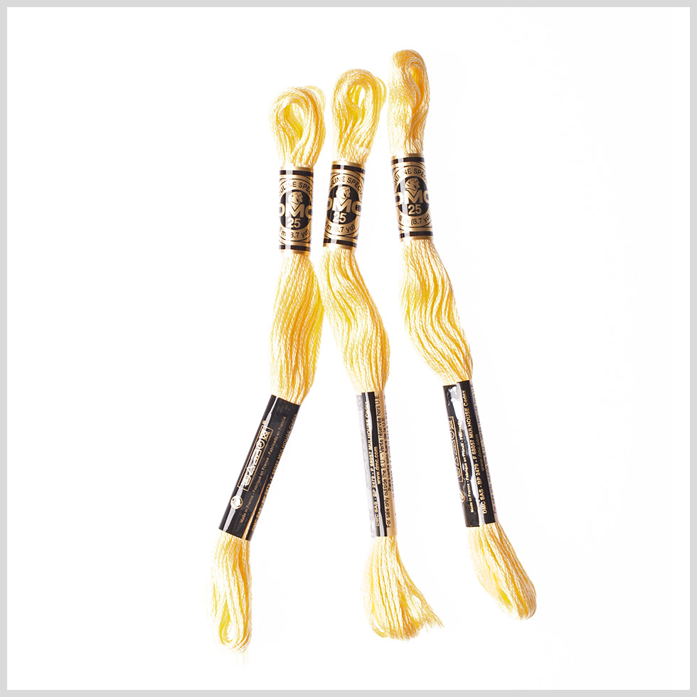 3-Pack DMC Size 6 Embroidery Floss #727 Sunshine - Joann Fabrics
