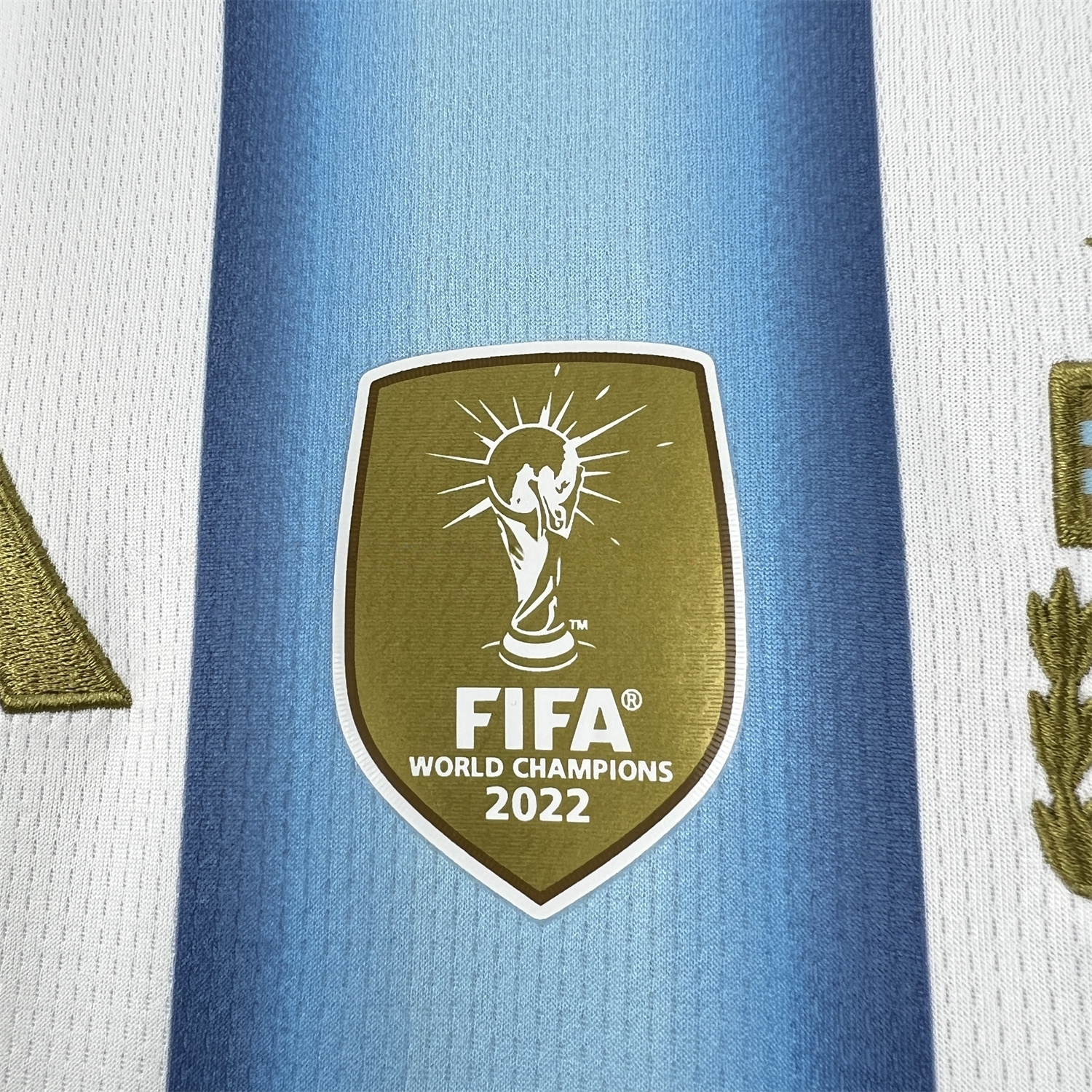 Women's Argentina 2026 Home Jersey - UnitedFutballJersey