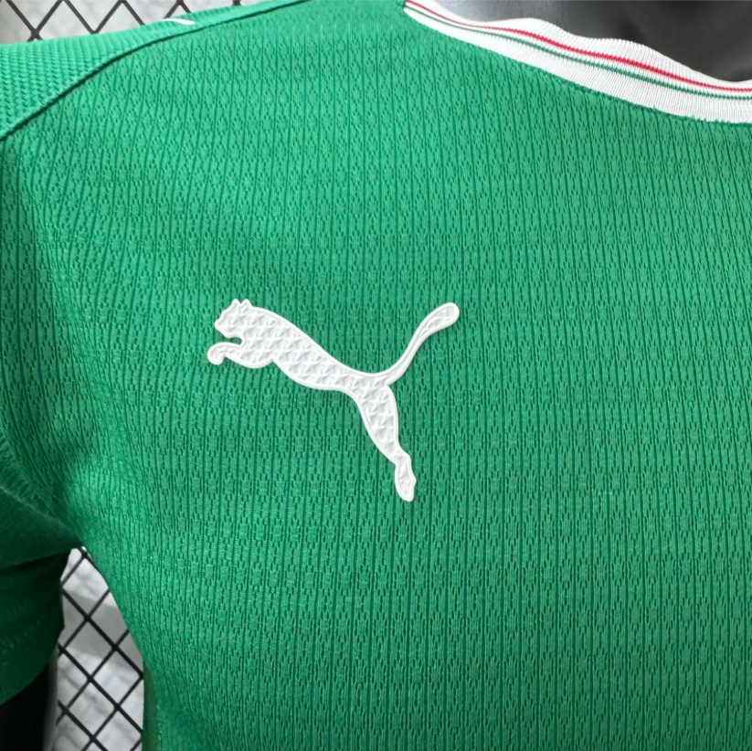 2026/2027 Player Version Palmeiras Home Football Jersey 1:1 Thai Quality