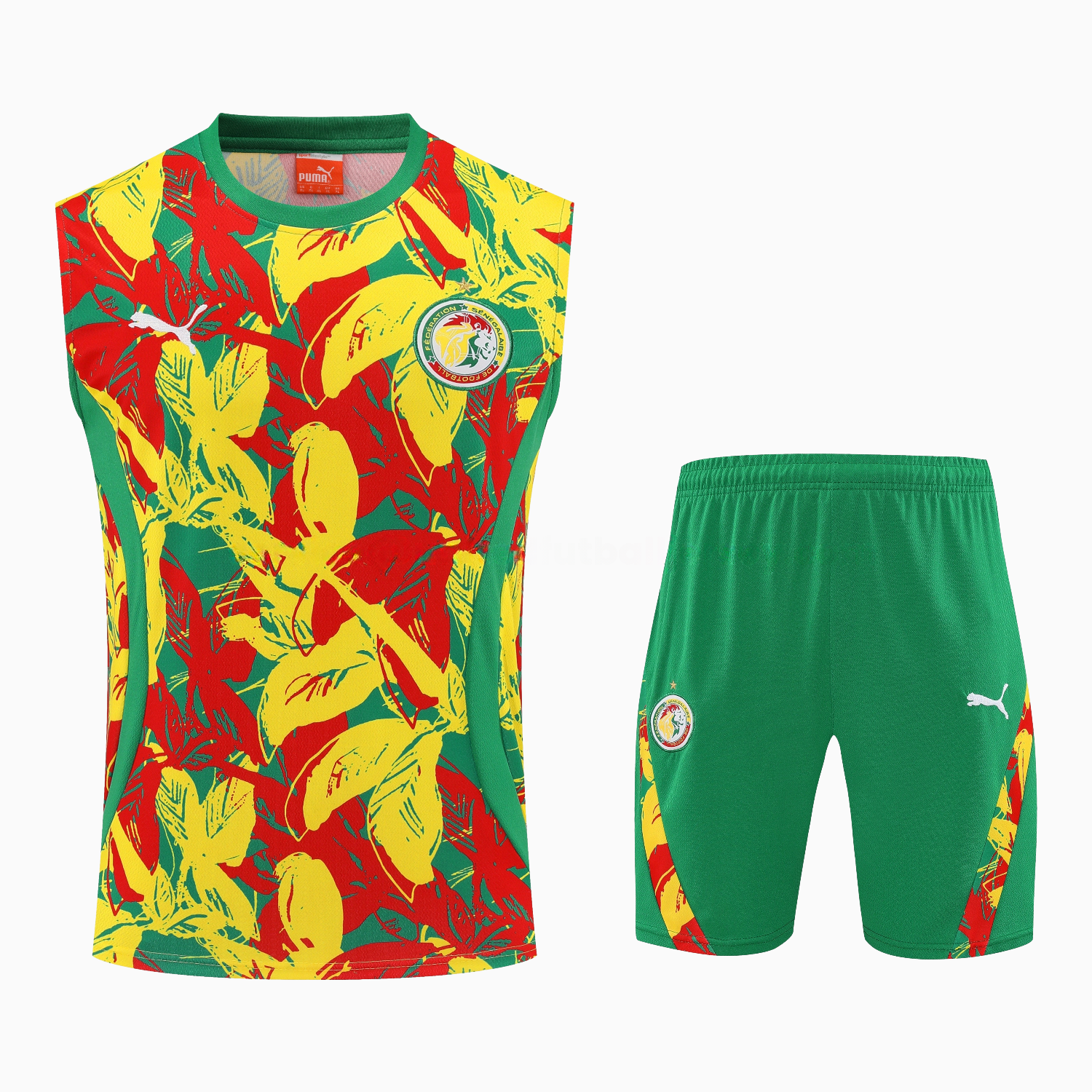 Senegal 2026 Vest Training Set - Variegated Vest and Green Shorts - UnitedFutballJersey
