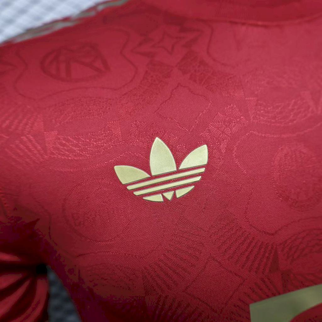 2025/2026 Player Version Bayern Munich 125th Anniversary Football Jersey 1:1 Thai quality