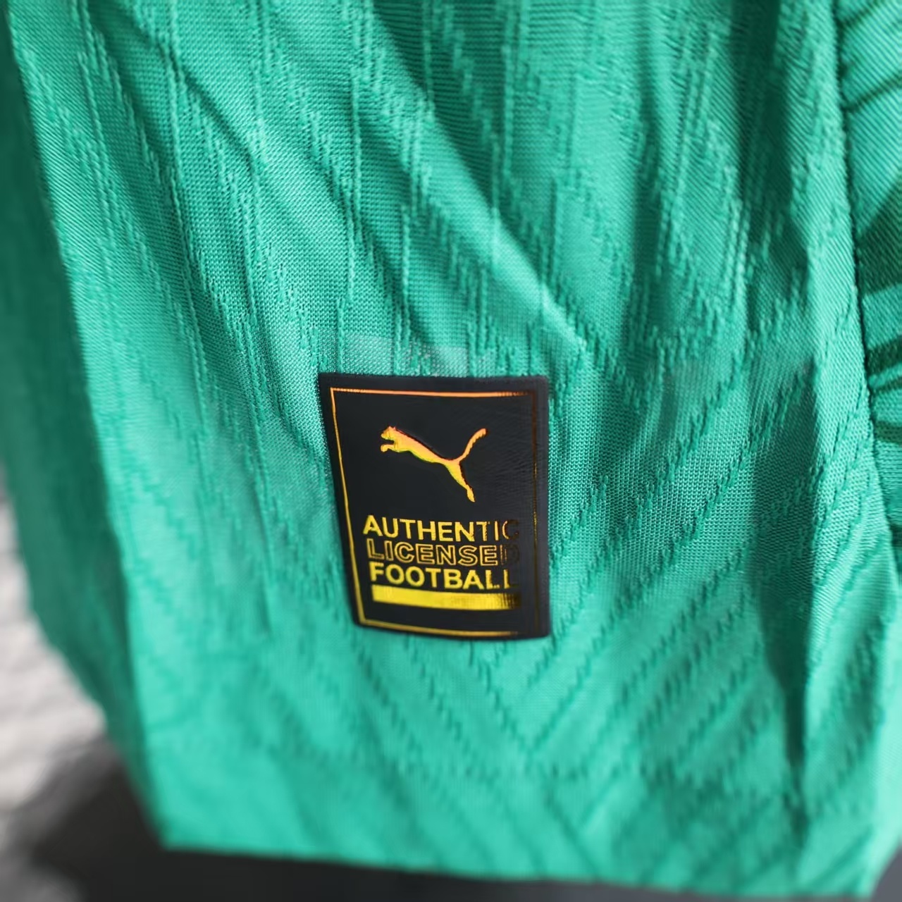 2025 Player Version Senegal National Team Home （Twin Star Edition） Football Shirt 1:1 Thai Quality
