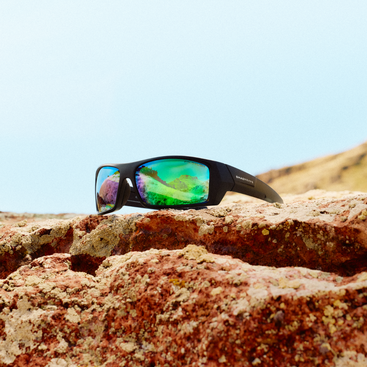 Reign – Black Emerald Polarized