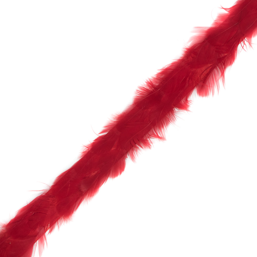 Red Hen Feather Trimming - 1