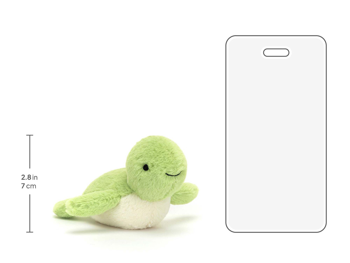 Fluffy Turtle