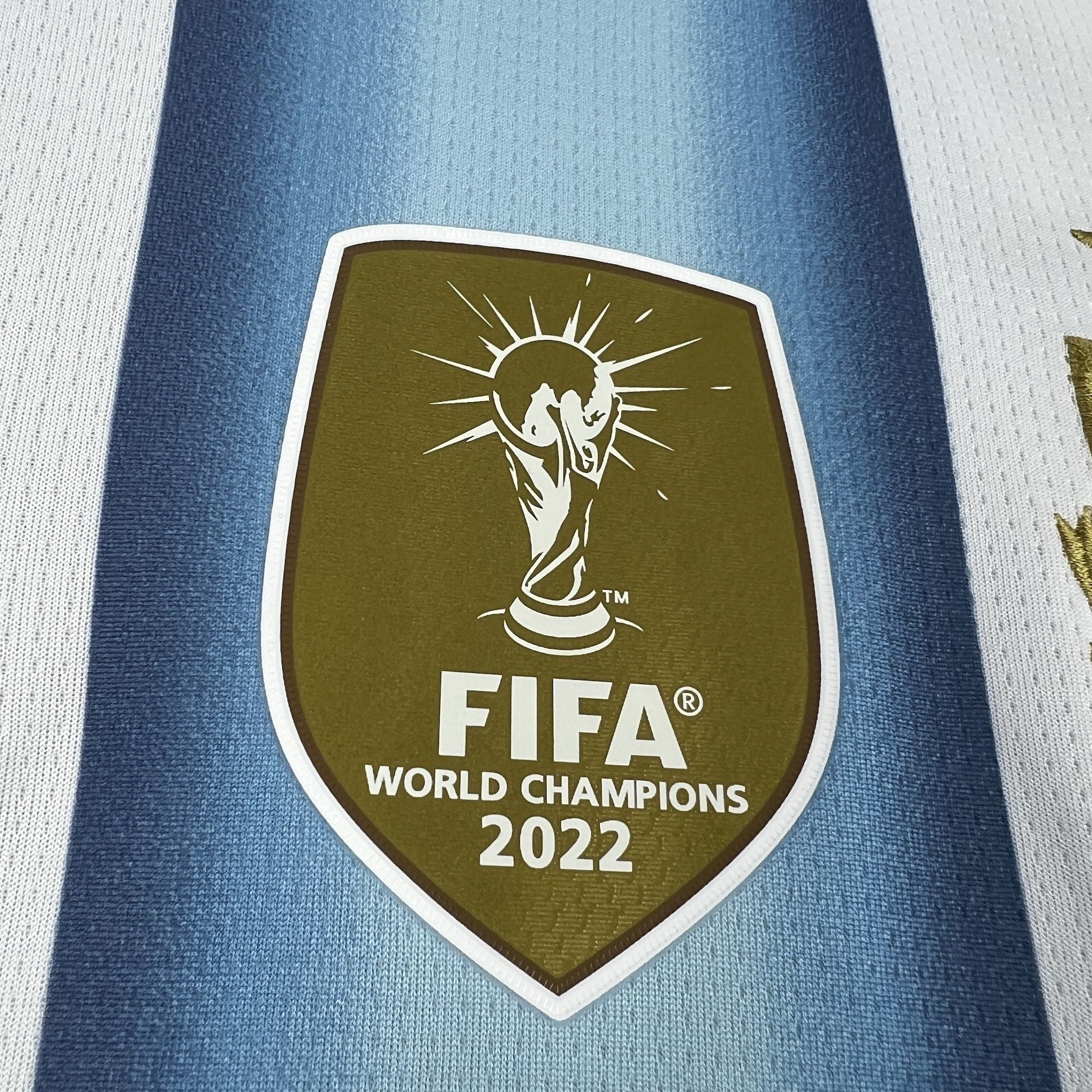 Argentina 2026 Sky Blue White Home Football Shirt | Fan