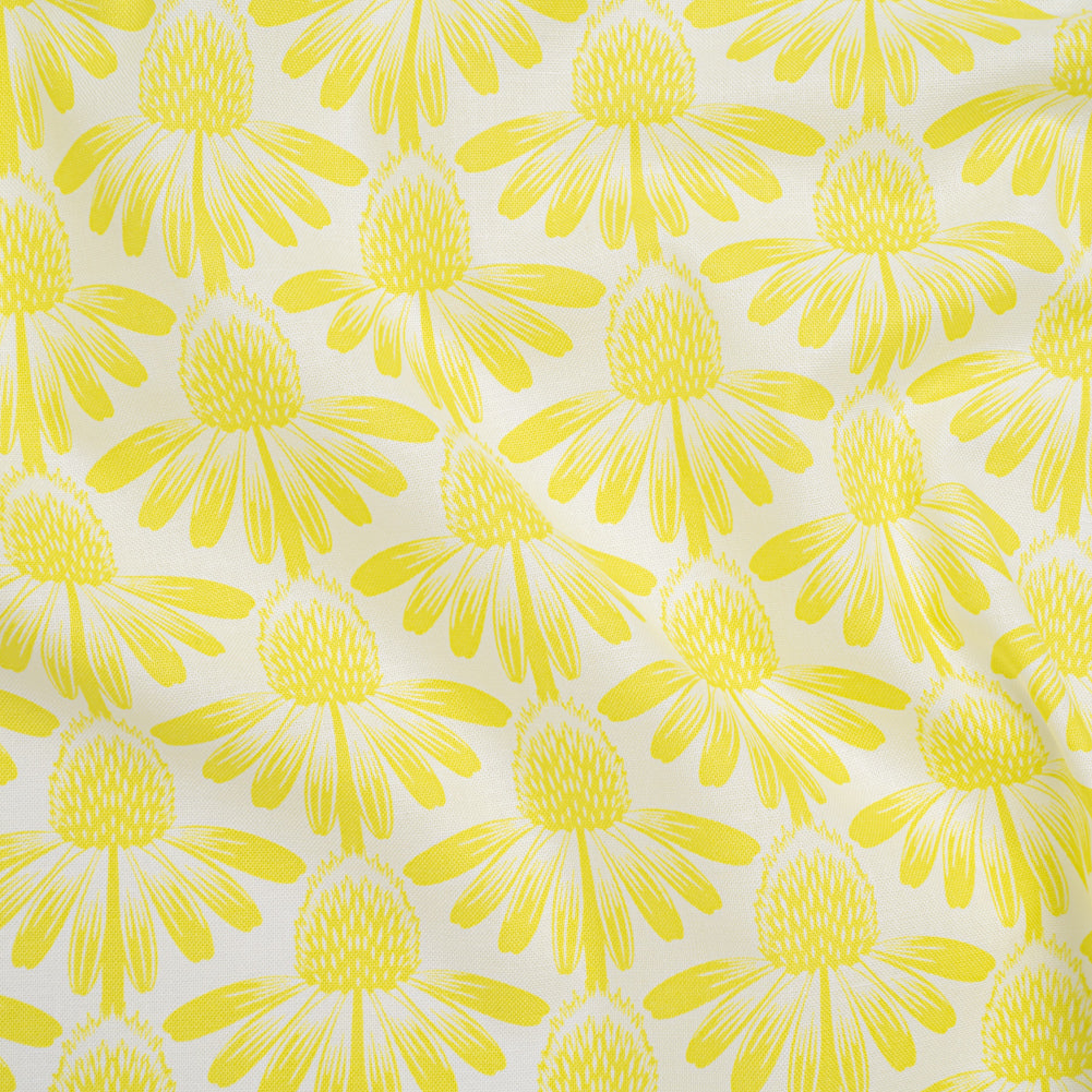 Printed Quilting Cotton by Anna Maria Textiles for Northcott - Sun Coneflower Floral - Indelible Soft Collection - Joann Fabrics