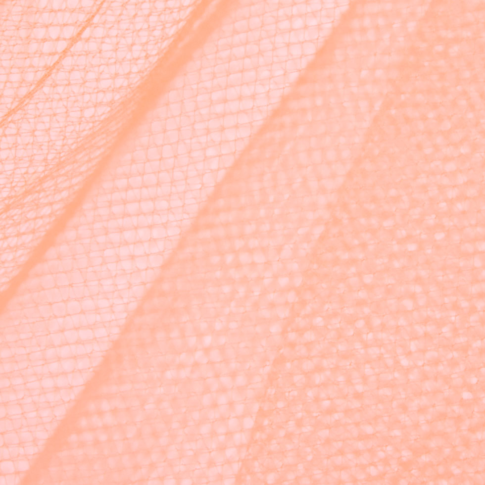 Nylon Tulle 54