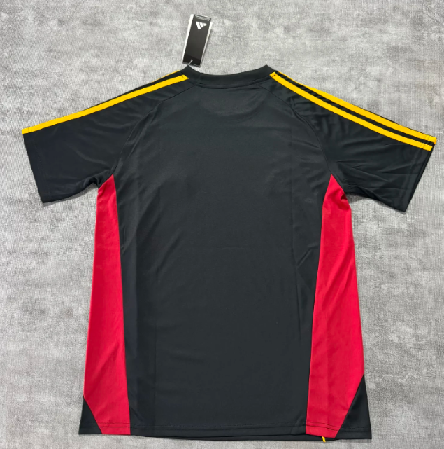 2025/2026 Roma Special Edition Football Jersey 1:1 Thai Quality