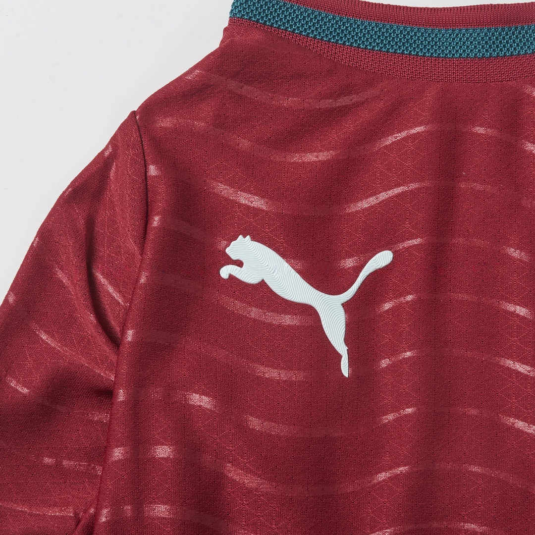 Portugal 2026 Home Pet Jersey - Player Version - UnitedFutballJersey