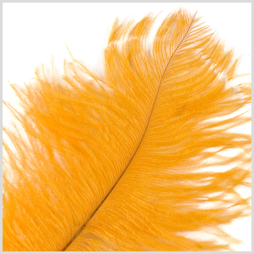 Gold Ostrich Feather - 10