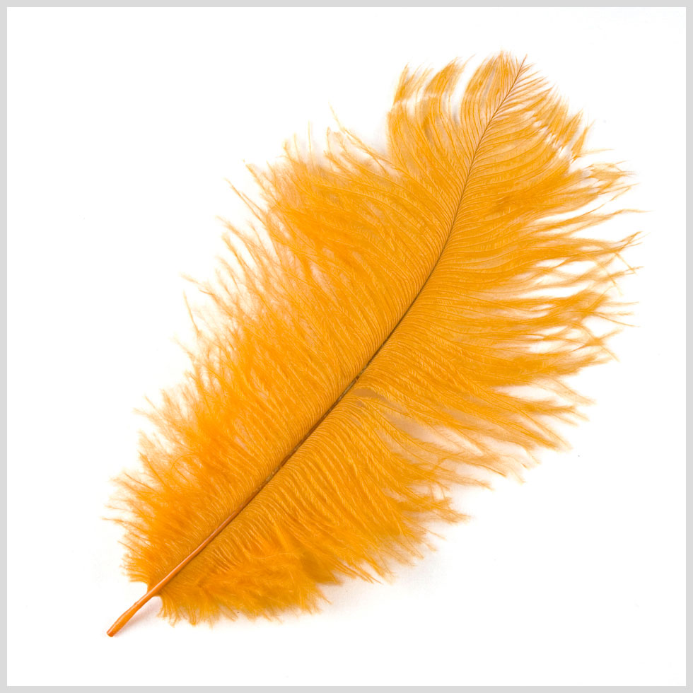 Gold Ostrich Feather - 10