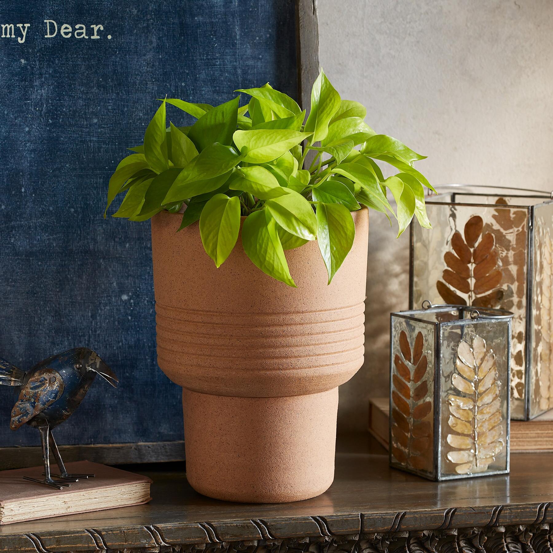 Local Roots Planter - Blair Catalog