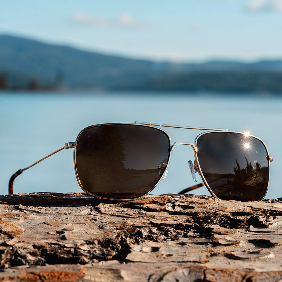 Navigator – Black Gold Polarized