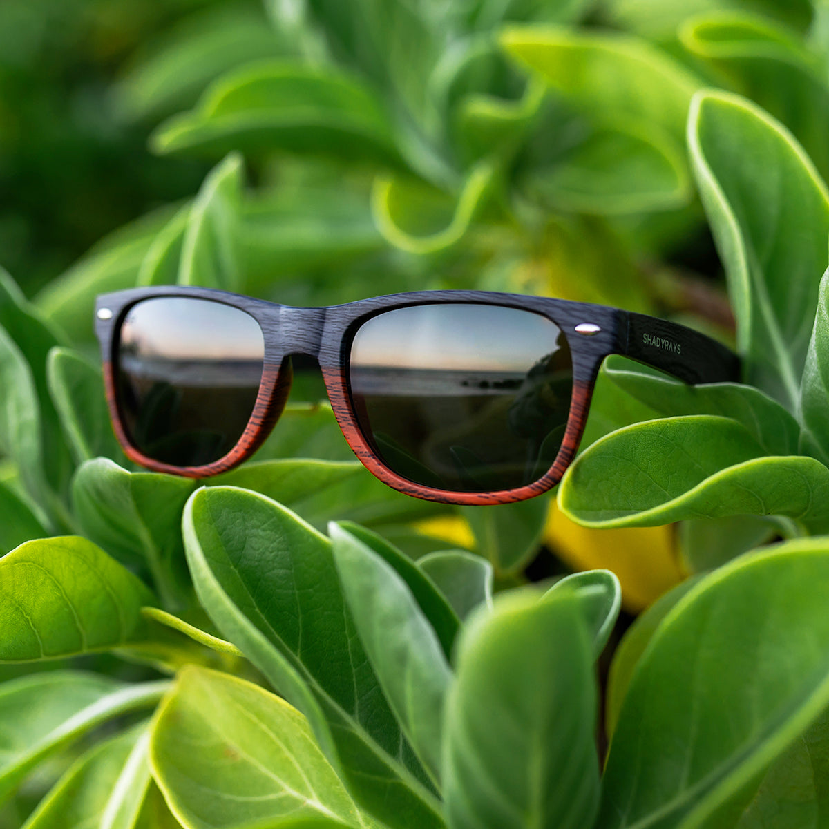 Classic Timber – Dual Timber Polarized