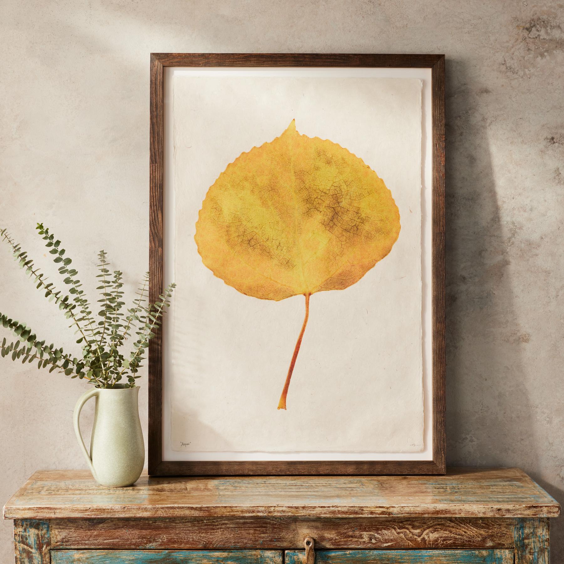 Leaf Studies Print - Blair Catalog