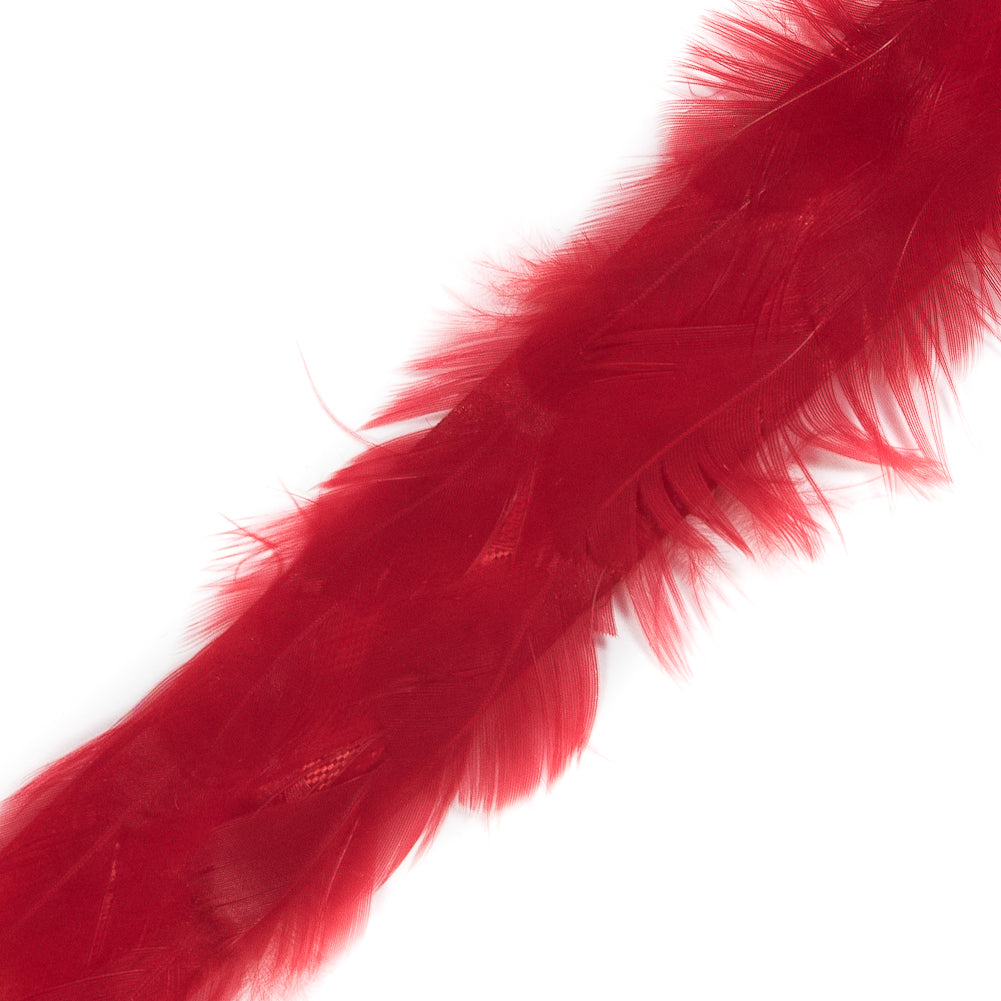 Red Hen Feather Trimming - 1