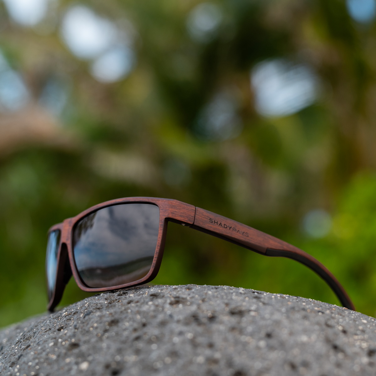 Cayman – Amber Woods Polarized