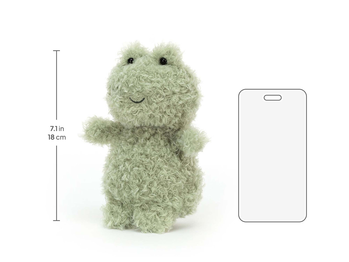 Little Frog