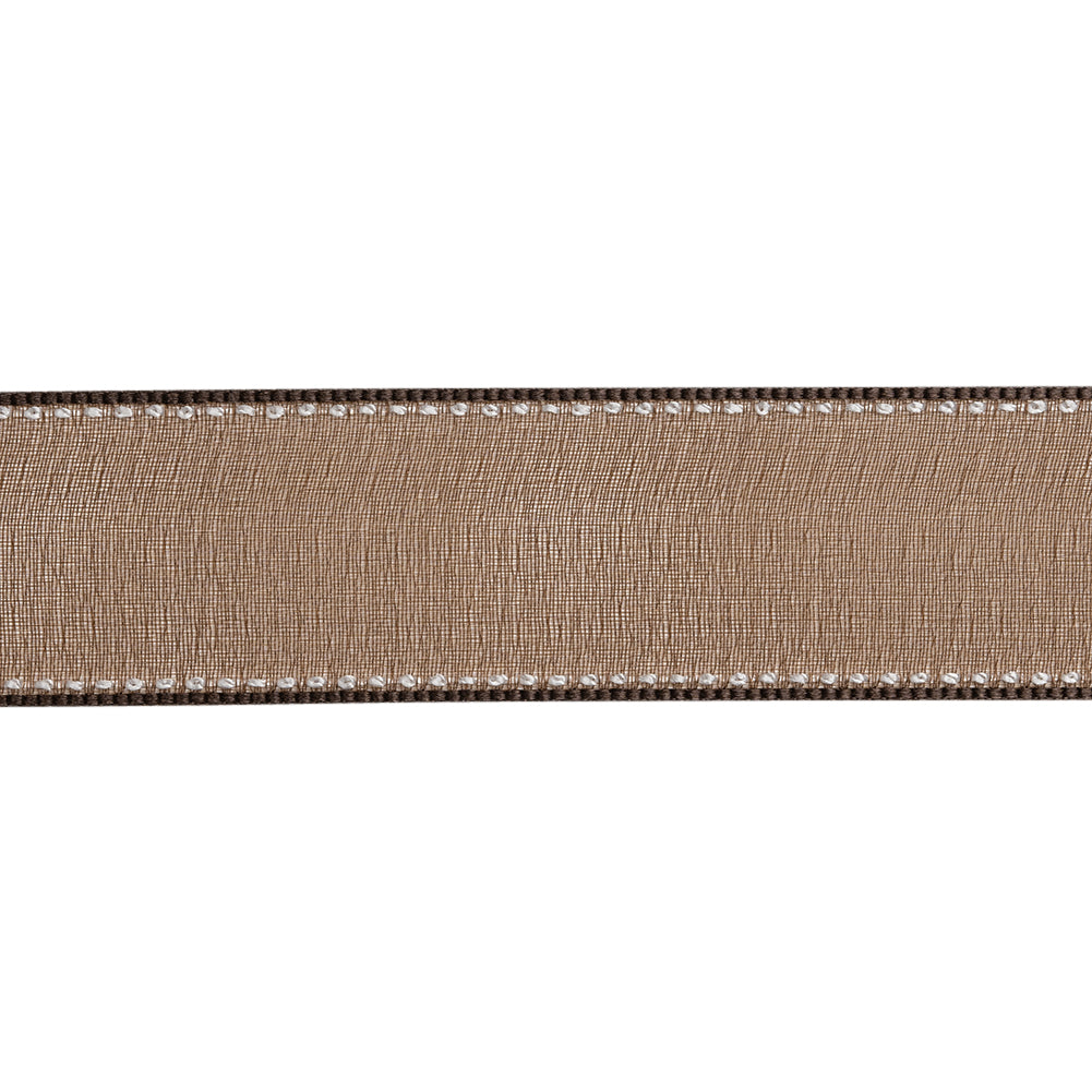Sheer Ribbon with White Stitched Border - 1