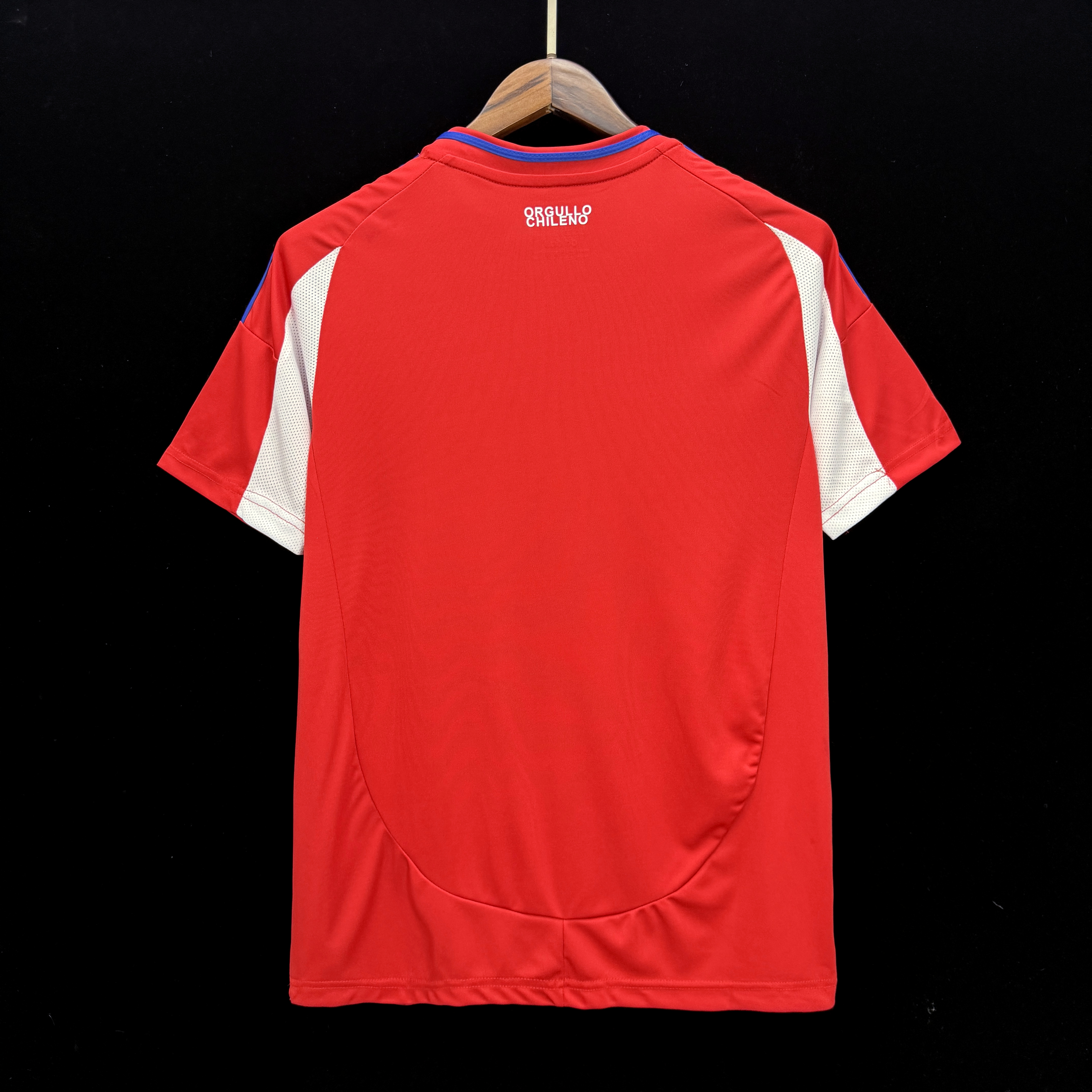2024-2025 Chile National Team Soccer Jersey Home