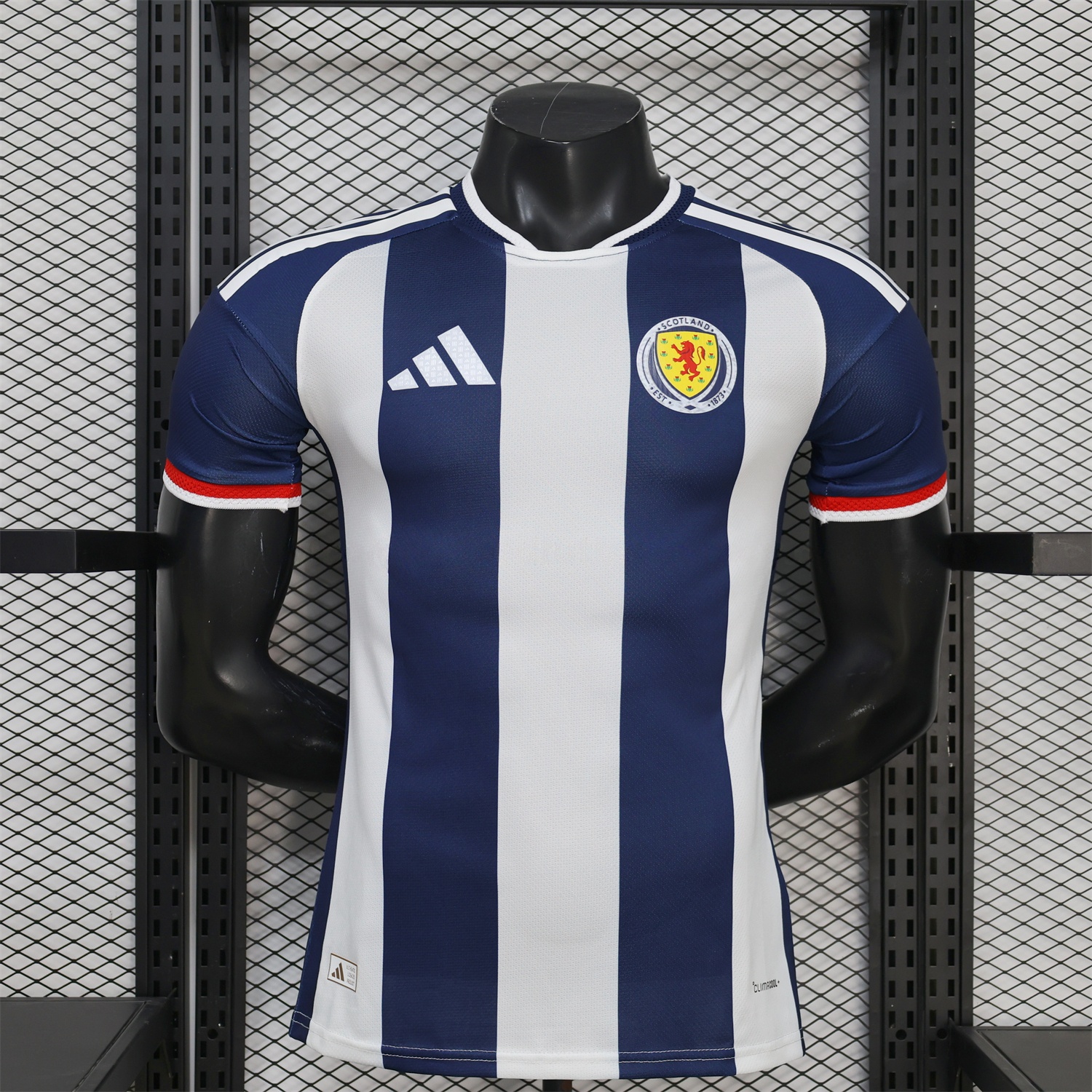 Wales 2026 Blue And White Special Jersey - Player Version - UnitedFutballJersey