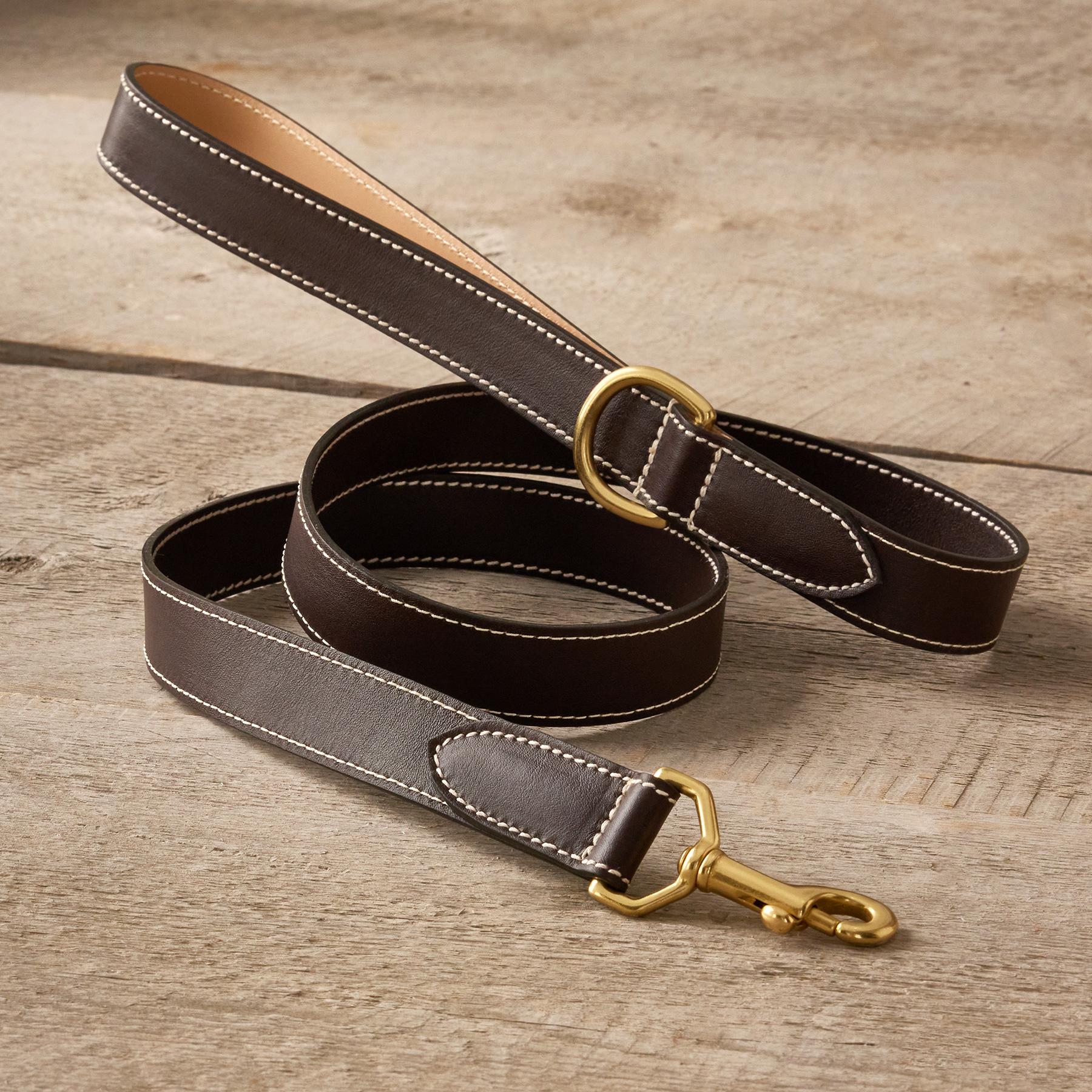 Shiloh 47in City Leash - Blair Catalog