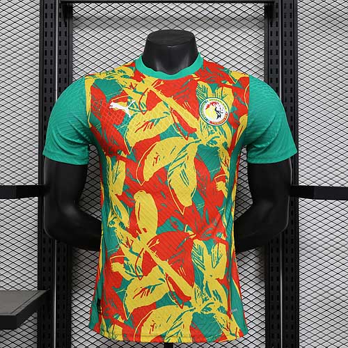 2025/2026 Player Version Senegal National Team Pre-match outfit Football Shirt 1:1 Thai Quality