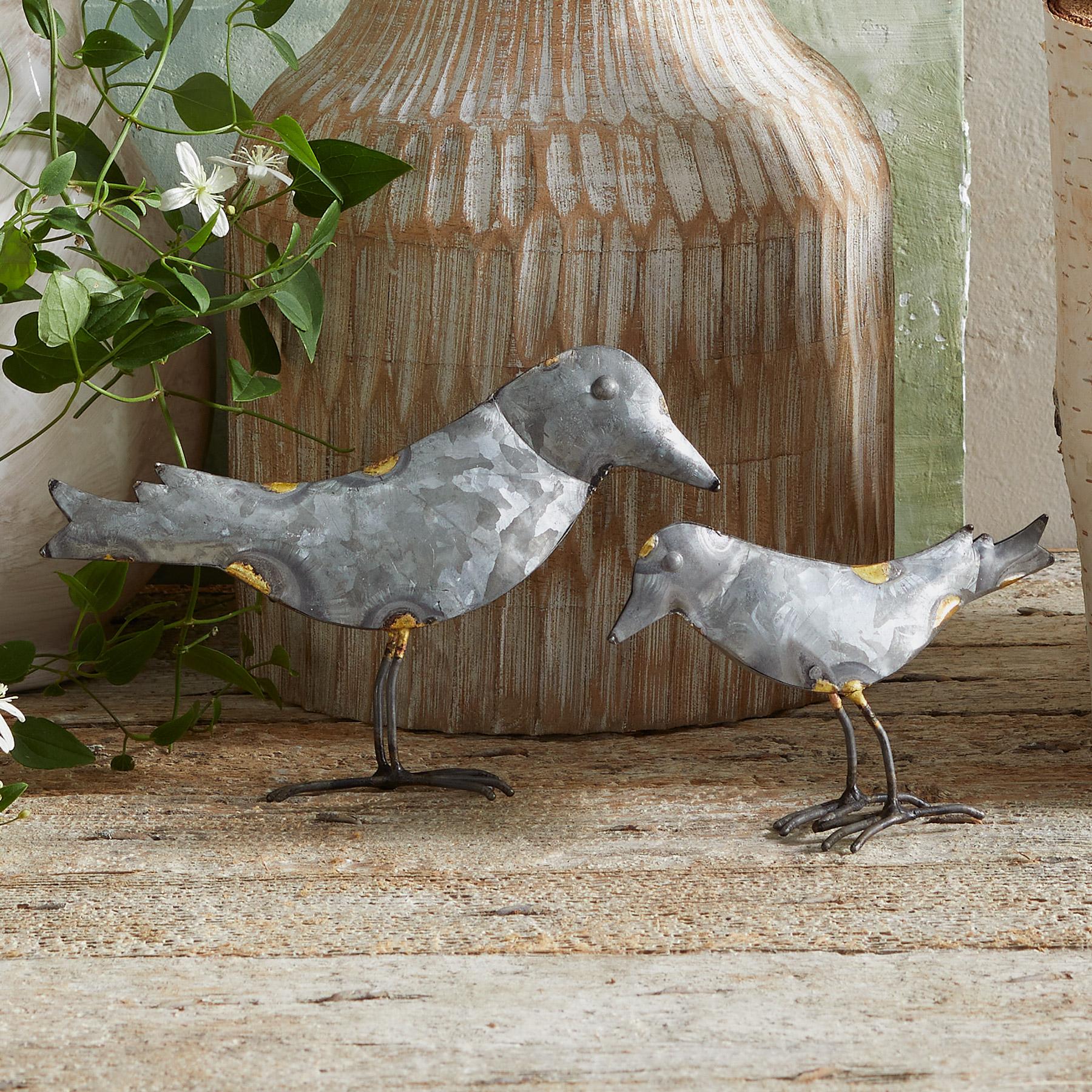 Bird's Eye View Set - Blair Catalog