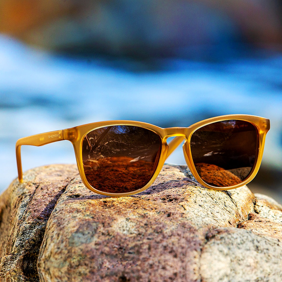 Cypress – Sandstone Polarized