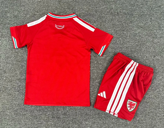 2026 Wales Home Football Shirt 1:1 Thai Quality Kids Size