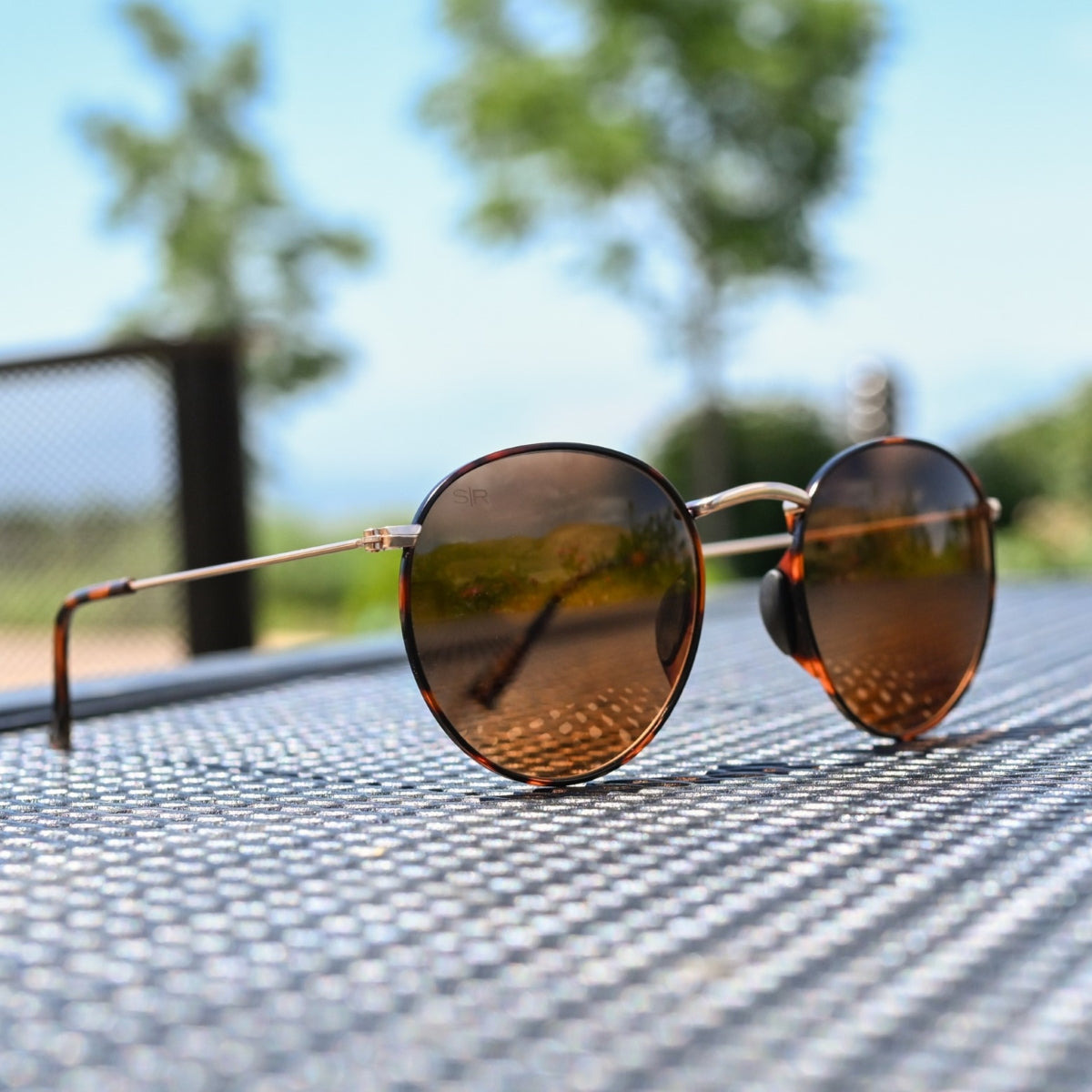 Tangle Free Aston – Amber Tortoise Polarized
