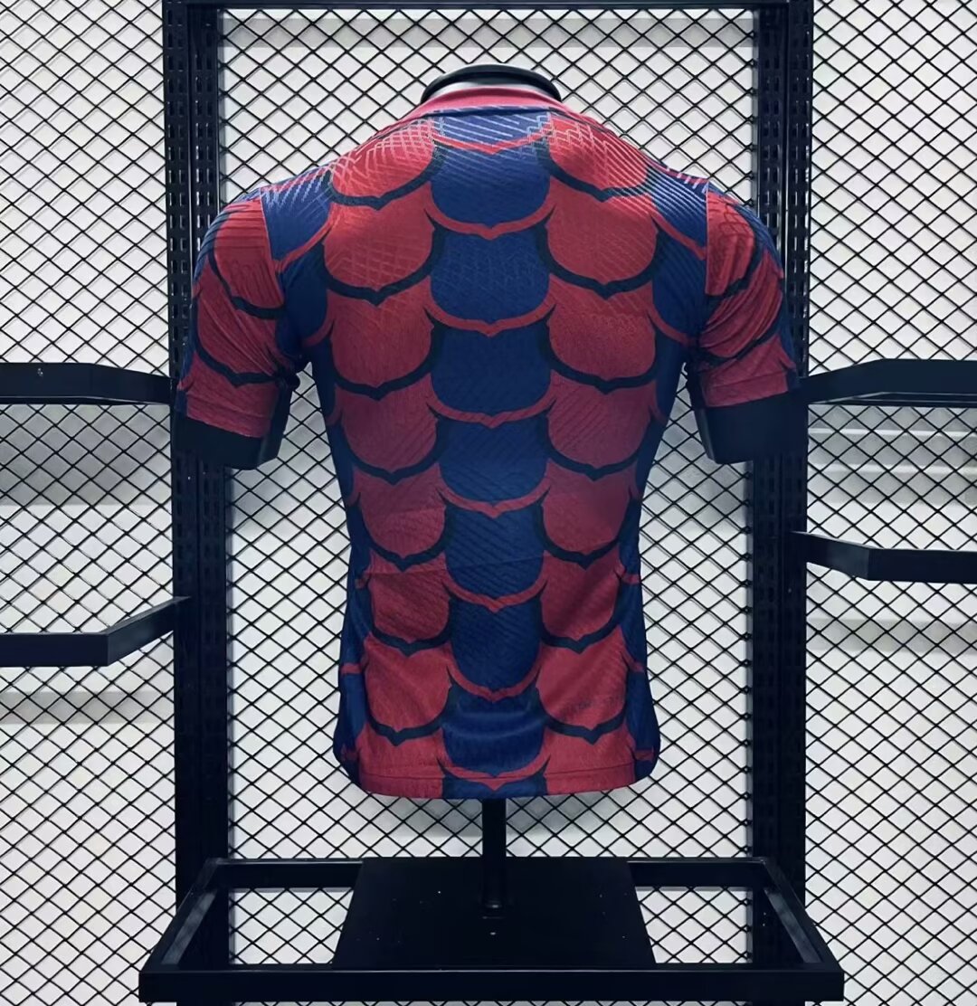 2024/2025 Player Version Barcelona Special Edition 1:1 Thai Quality