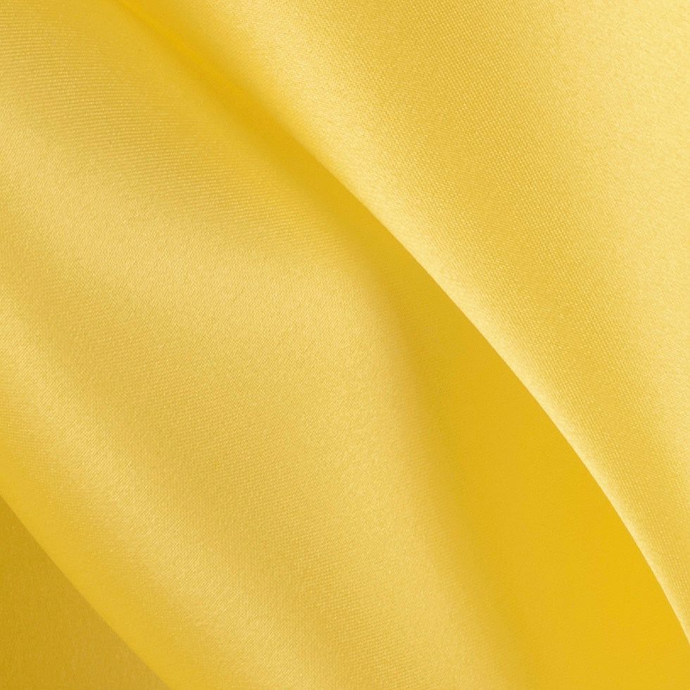 Silk Satin-Face Organza 54