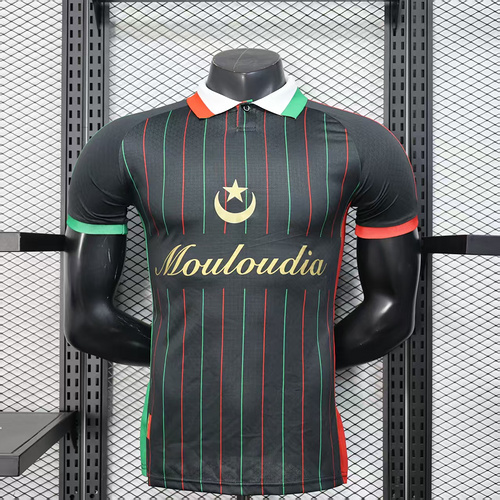 2025/2026 Player Version Palestine Special Edition Black Football Shirt 1:1 Thai Quality