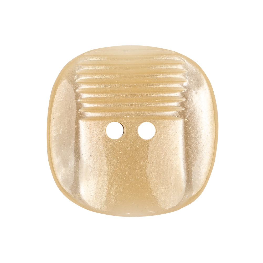Yoke Iridescent 2-Hole Square Plastic Button - 44L/28mm - Joann Fabrics