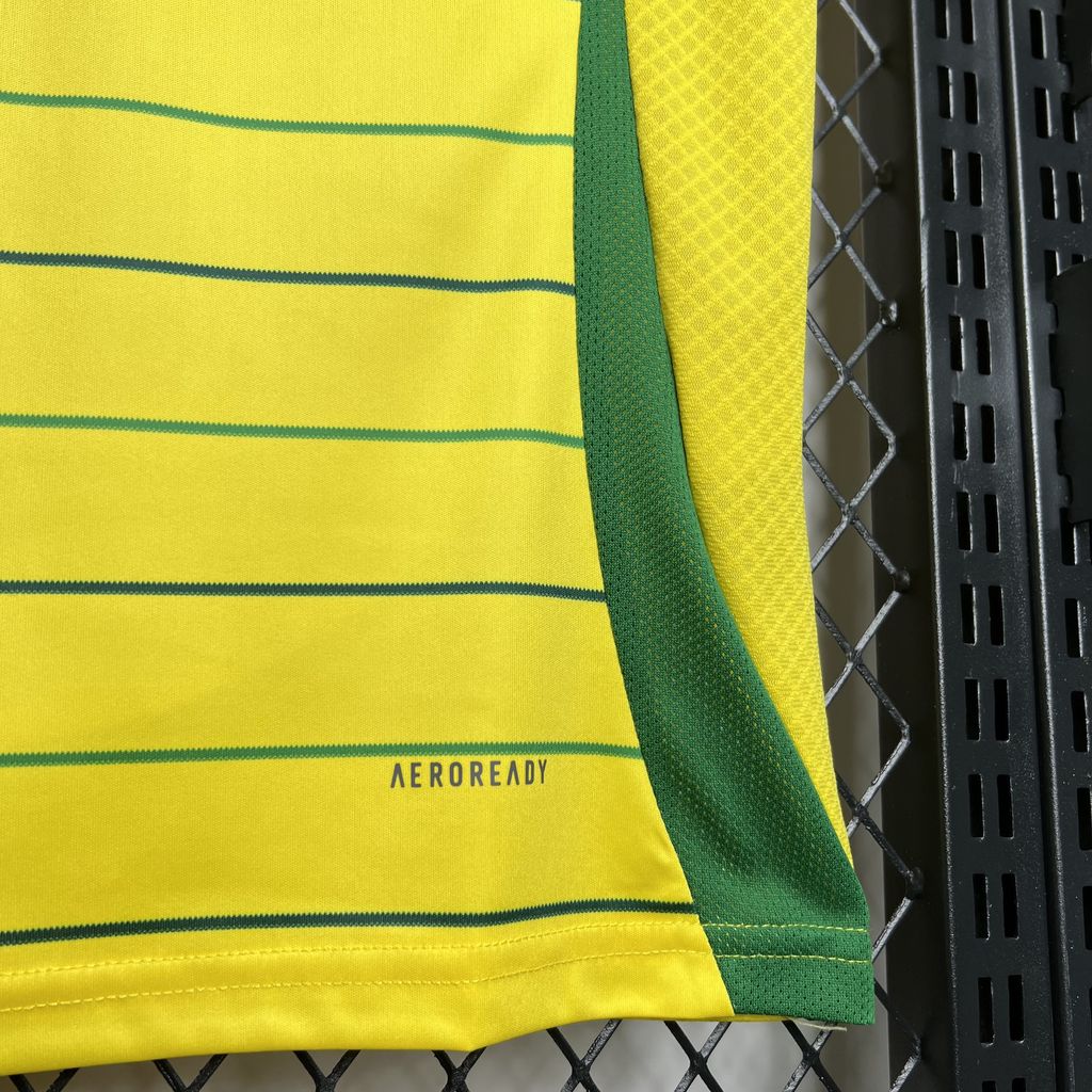 2024/2025 Celtic Away Football Shirt  1:1 Thai Quality