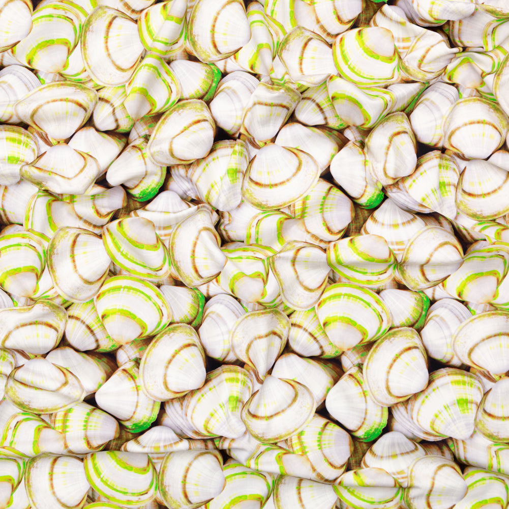 Compression Swimwear Tricot, UV Protective with Aloe Vera Microcapsules - Neon Green Shells - Caye Collection - Joann Fabrics