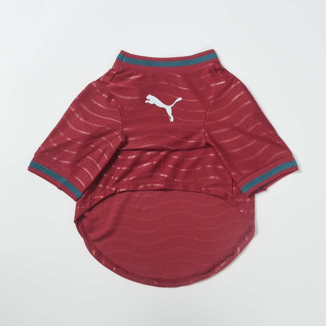 Portugal 2026 Home Pet Jersey - Player Version - UnitedFutballJersey