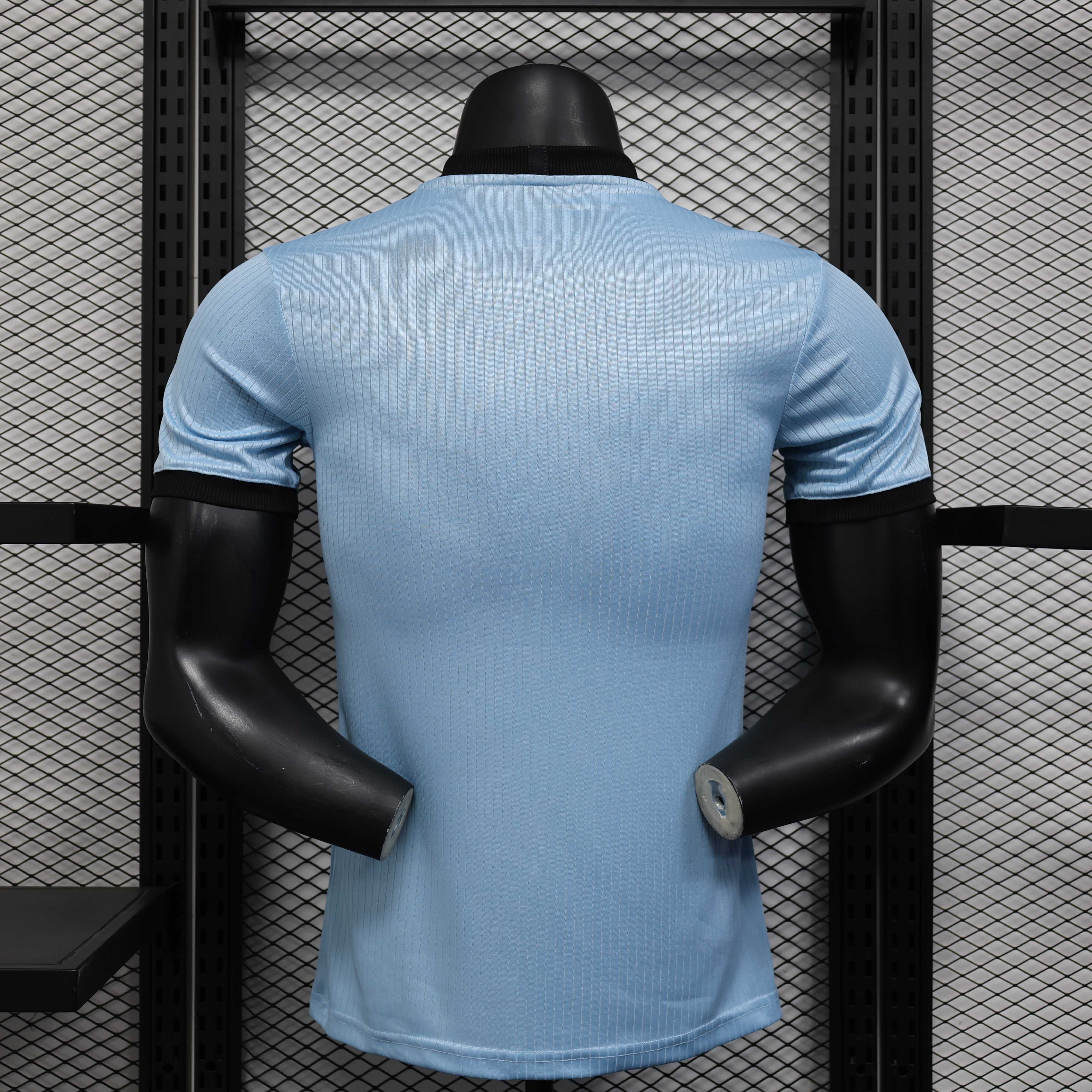 2025/2026 Player Version Germany 125th Anniversary Edition Sky Blue Football Jersey 1:1 Thai Quality